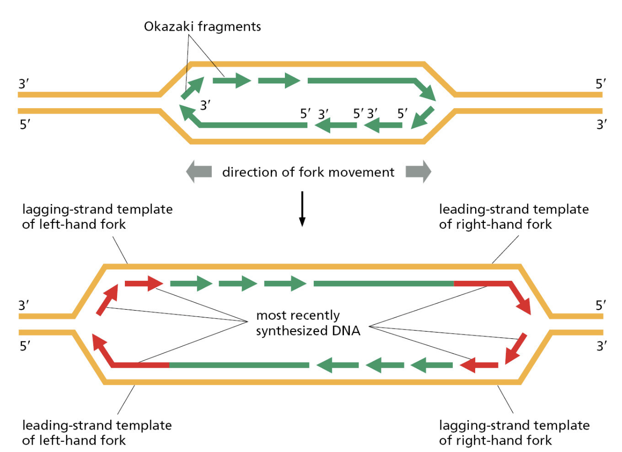 Figure 5-7.png